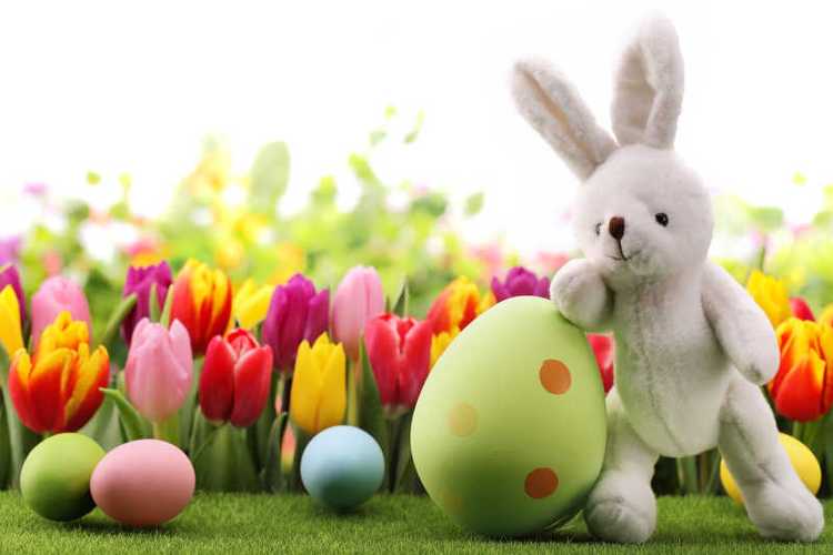 复活节的由来，复活节的来历是什么为什么会有复活节兔子和彩蛋