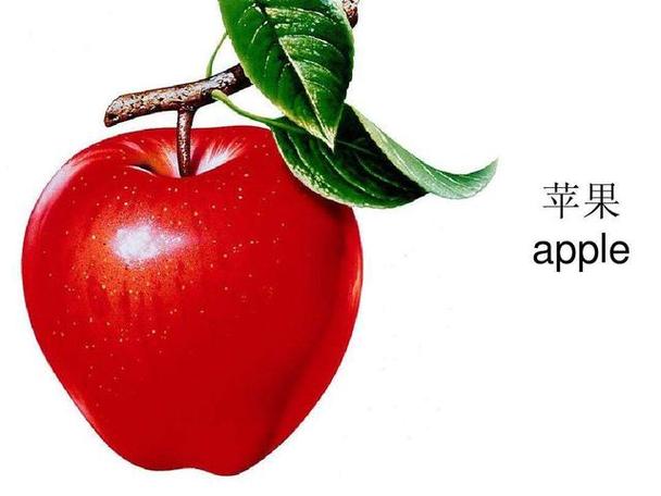 苹果英文怎么写，apple中文意思是什么